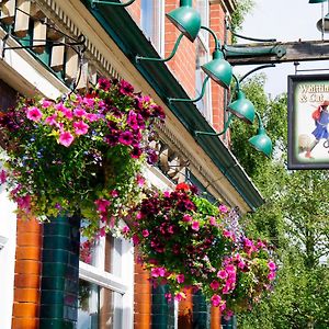 The Whittington And Cat